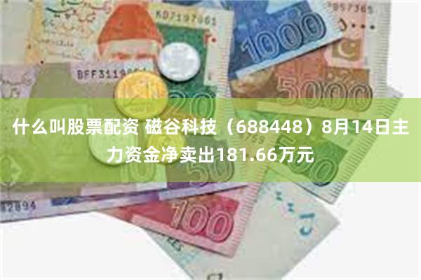 什么叫股票配资 磁谷科技（688448）8月14日主力资金净卖出181.66万元