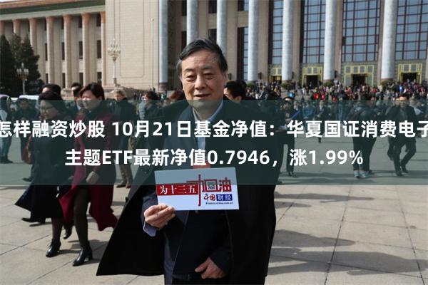 怎样融资炒股 10月21日基金净值：华夏国证消费电子主题ETF最新净值0.7946，涨1.99%