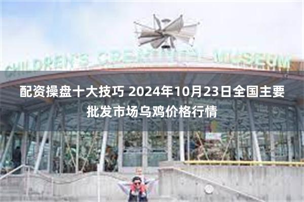 配资操盘十大技巧 2024年10月23日全国主要批发市场乌鸡价格行情