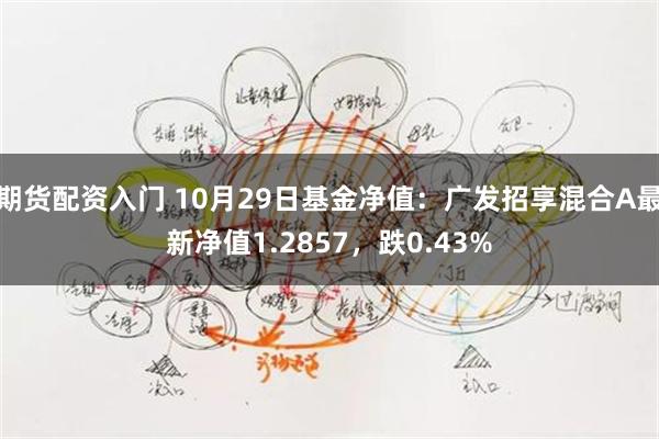 期货配资入门 10月29日基金净值：广发招享混合A最新净值1.2857，跌0.43%