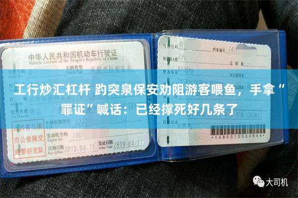 工行炒汇杠杆 趵突泉保安劝阻游客喂鱼，手拿“罪证”喊话：已经撑死好几条了