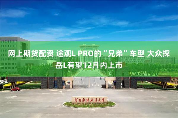 网上期货配资 途观L PRO的“兄弟”车型 大众探岳L有望12月内上市