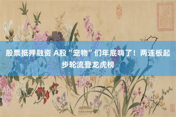 股票抵押融资 A股“宠物”们年底嗨了！两连板起步轮流登龙虎榜