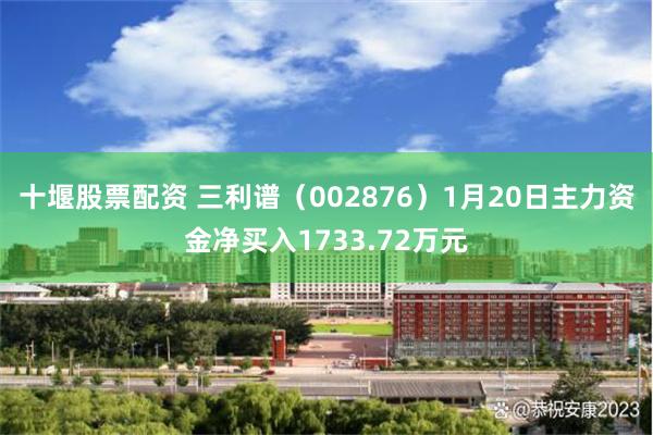 十堰股票配资 三利谱（002876）1月20日主力资金净买入1733.72万元