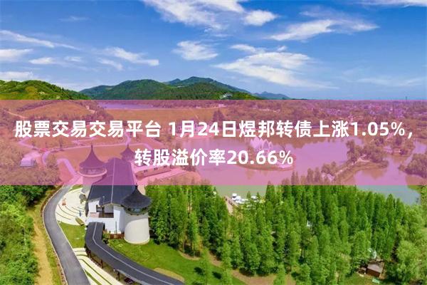 股票交易交易平台 1月24日煜邦转债上涨1.05%，转股溢价率20.66%