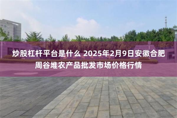 炒股杠杆平台是什么 2025年2月9日安徽合肥周谷堆农产品批发市场价格行情